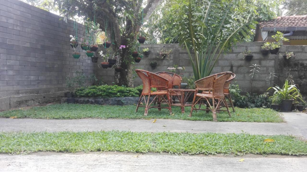 Mango Roots Apartment Gampaha Exterior foto