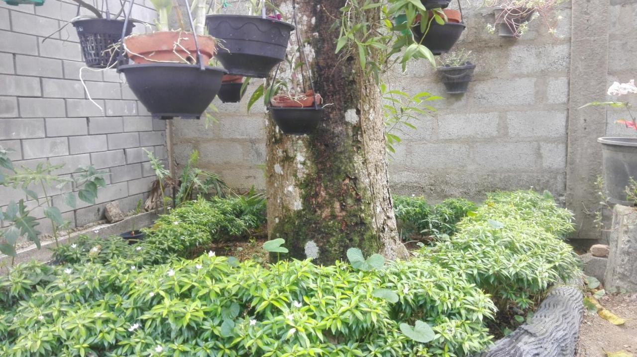 Mango Roots Apartment Gampaha Exterior foto